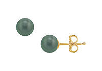 Tahitian Pearl Stud Earrings : 18K Yellow Gold  8 MM