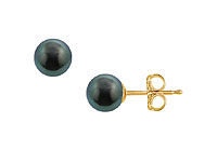 Tahitian Pearl Stud Earrings : 18K Yellow Gold  8 MM