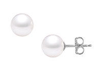 South Sea Pearl Stud Earrings : 18K White Gold  12 MM