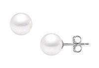 South Sea Pearl Stud Earrings : 18K White Gold  13 MM