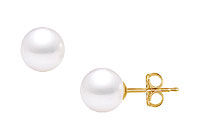 South Sea Pearl Stud Earrings : 18K Yellow Gold  11 MM