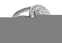 Diamond Rope Circle Ring : 14K White Gold - 0.50 CT Diamonds