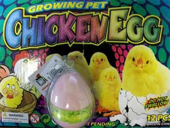 Hatching Chicken In Egg Case Pack 12