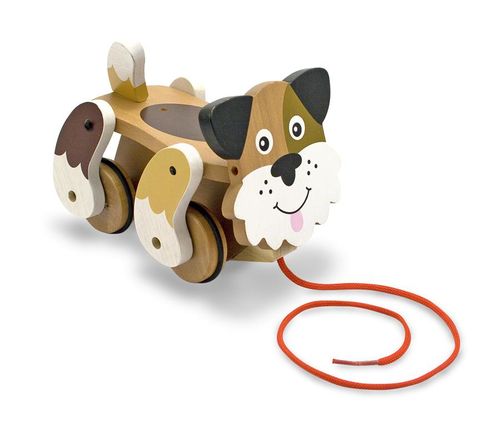 Playful Puppy Pull Toy