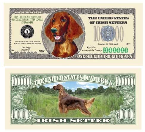 Irish Setter Million Dollar Bill Case Pack 100