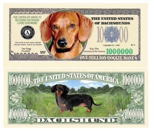 Dachshund Million Dollar Bill Case Pack 100