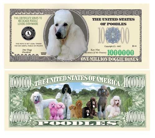 Poodle Million Dollar Bill Case Pack 100