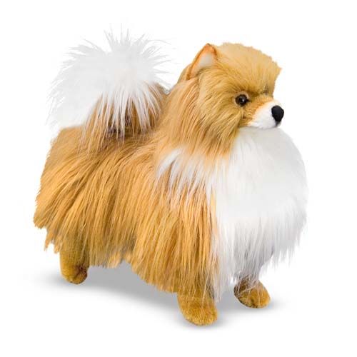 Pomeranian - Plush