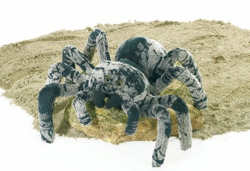 8.5"" Tarantula Case Pack 24