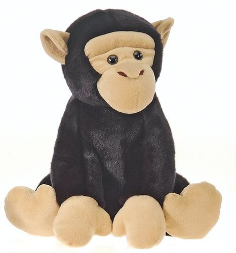 Lazybeans - 12"" Sitting Chimpanzee Case Pack 12