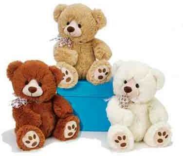 11"" 3 Assorted Color Sitting Bears Case Pack 24