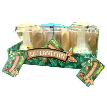 Lil' Lantern Assortment Case Pack 108