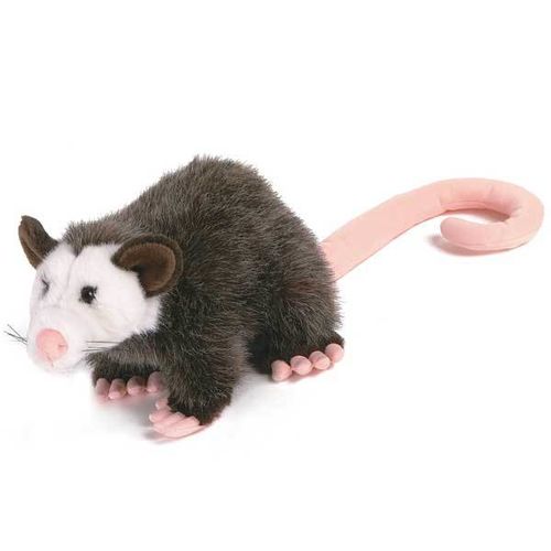 10"" Opossum Case Pack 12