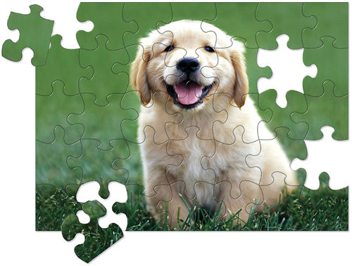 30 Piece Golden Retriever Puppy Cardboard Jigsaw Puzzle Case Pack 2