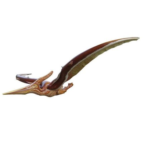 Inflatable Realistic Pteranadon Case Pack 6