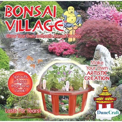 Bonsai Village Case Pack 6