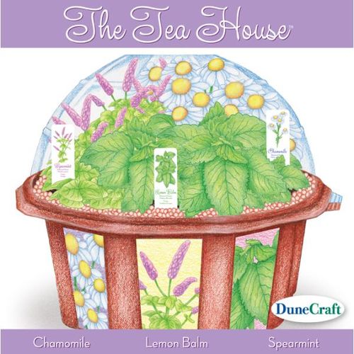 The Tea House Tea Kit Case Pack 6
