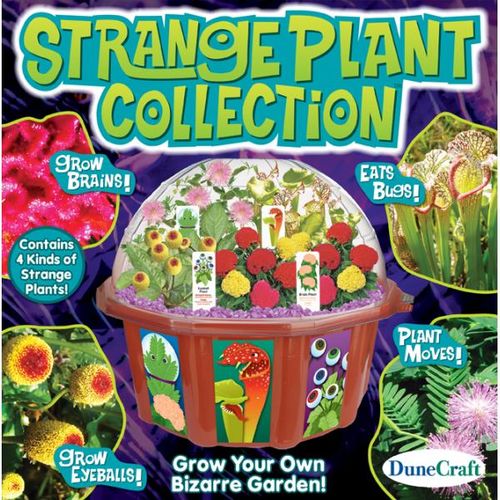 Strange Plants Collection Kit Case Pack 6