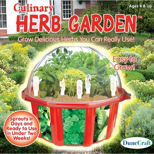Culinary Herb Garden Kit Case Pack 6