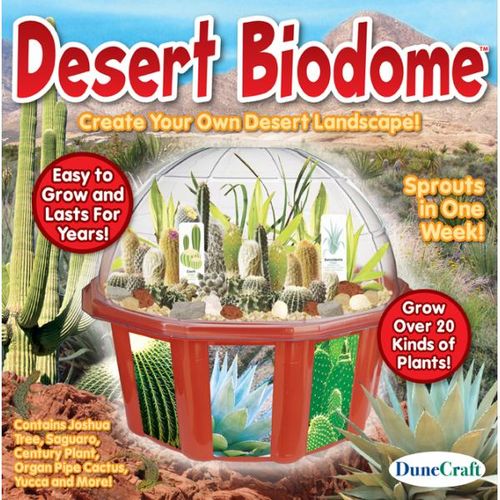 Desert Biodome Terrarium Kit Case Pack 6