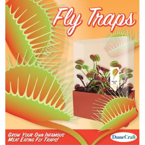 Fly Traps Case Pack 12