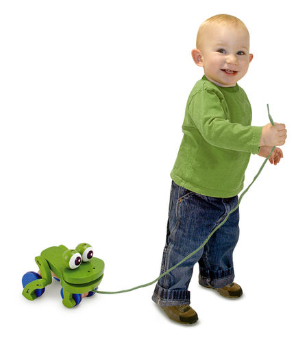 Frolicking Frog Pull Toy