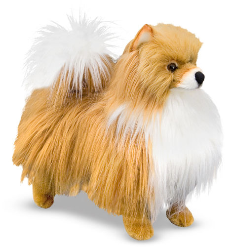 Pomeranian - Plush Dog