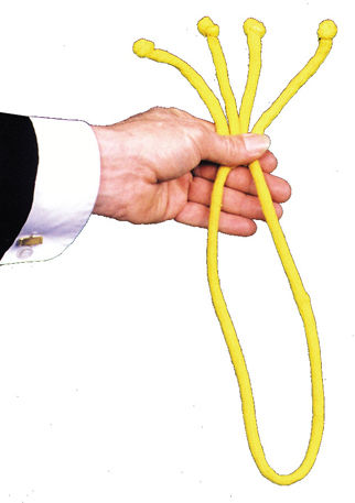 Rope With Four Ends Case Pack 2