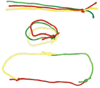 Multicolor Rope Link Case Pack 2