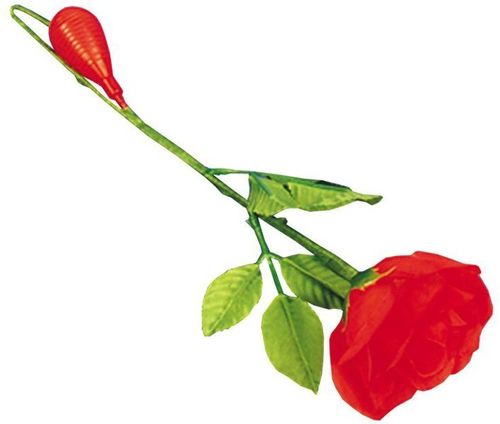 Squirting Rose Case Pack 2
