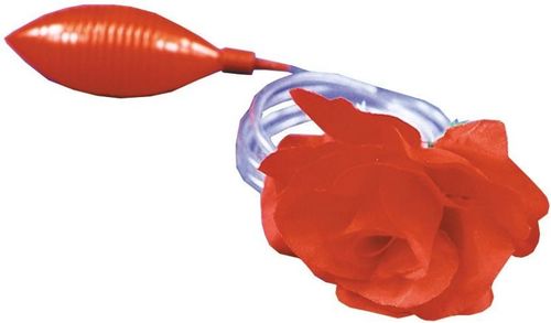 Squirt Flower Case Pack 3
