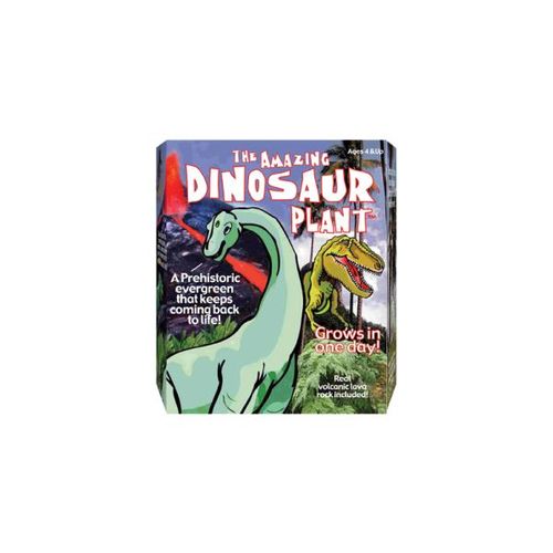 Dinosaur Plant Case Pack 24