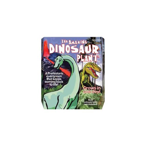 Dinosaur Plant Case Pack 24