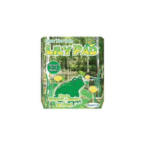 Grow Your Own Lily Pad Case Pack 24