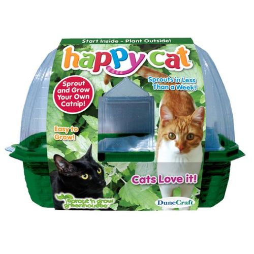 Happy Cat Catnip Plants Case Pack 12