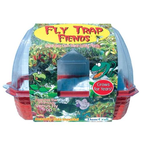 Fly Trap Fiends Case Pack 12