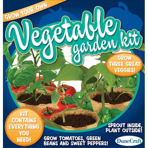 Vegetable Garden Kit Case Pack 8