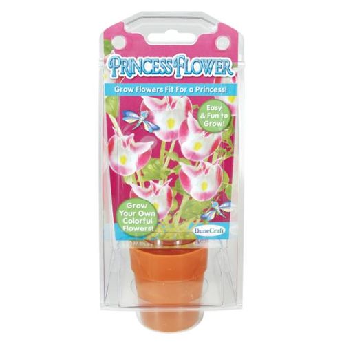 Princess Flower Case Pack 12