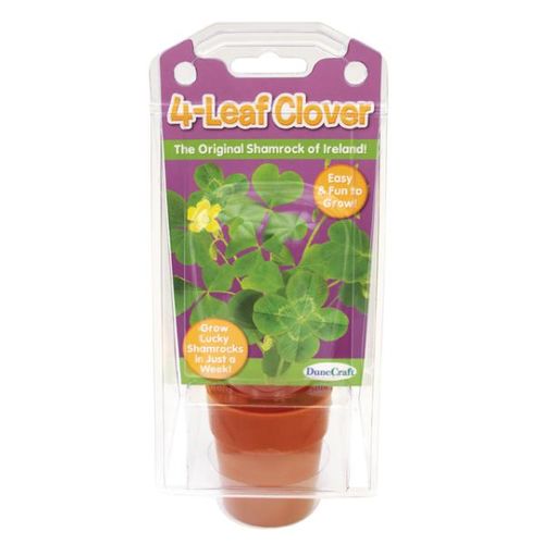 4-Leaf Clover Case Pack 12