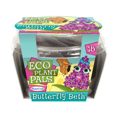 Butterfly Beth Case Pack 24
