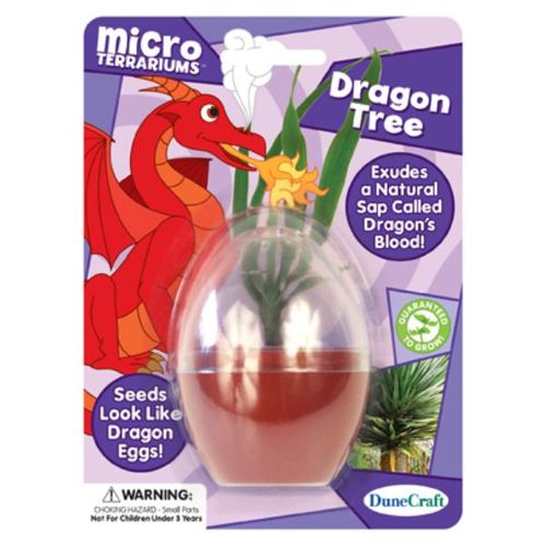 Dragon Tree Case Pack 18