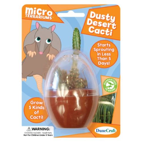 Dusty Desert Cacti Case Pack 18