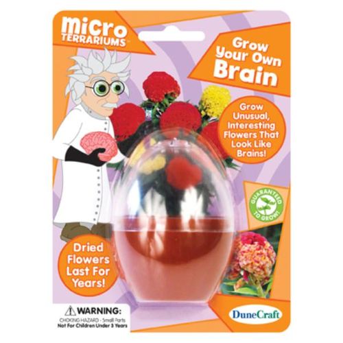 Grow Your Own Brain Case Pack 18