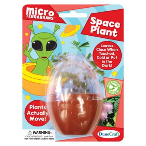 Space Plant Case Pack 18
