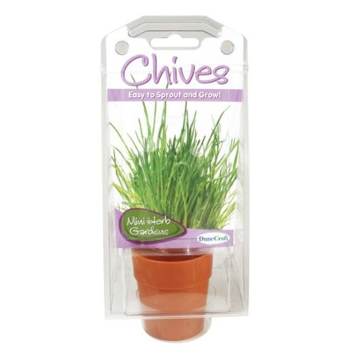 Chives Case Pack 12