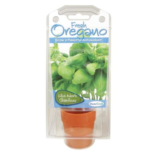 Oregano Herb Capsule Case Pack 12