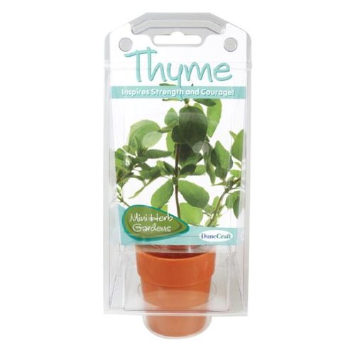 Thyme Herb Capsule Case Pack 12