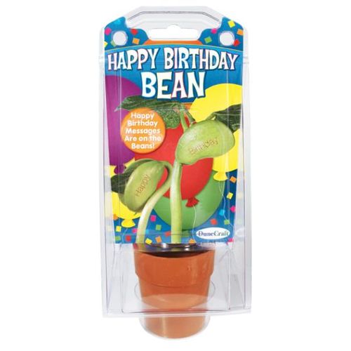 Happy Birthday Bean Case Pack 12