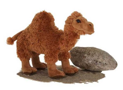 11.5"" Dromedary Camel with Picture Hang Tag Case Pack 24