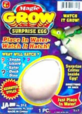 Toys & Games - Misc. Case Pack 66